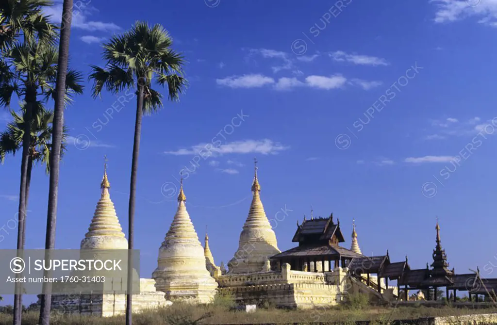Burma (Myanmar), Bagan, white Minochanthar Pagodas in distance, palm trees and blue sky.