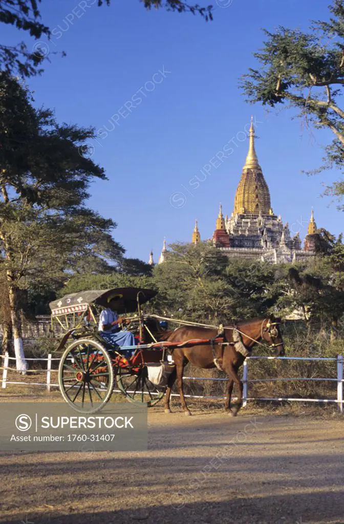 Burma (Myanmar), Bagan, Ananda Paya in distance, person driving horse cart in foreground.