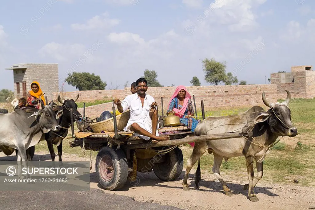 India, Rajasthan, Jodhpur, Great Indian Thar Desert, Gypsy family going by cow driven cart to look for land