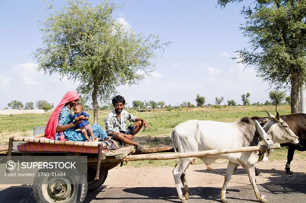India, Rajasthan, Jodhpur, Great Indian Thar Desert, Gypsy family going by cow driven cart to look for land