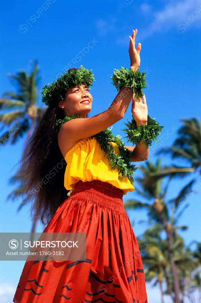 Hula dancer in kahiko style dress, blue sky background coconut trees A37A