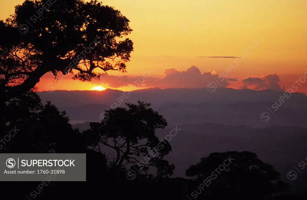 Costa Rica, Monteverde Park , Orange sunset on horizon, silhouetteed tree on hillside