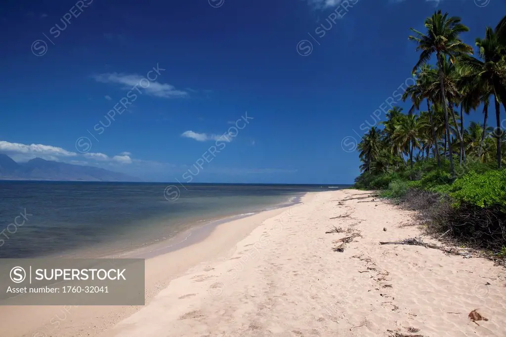 Hawaii, Lanai, A Deserted Golden Beach With Palm Trees.