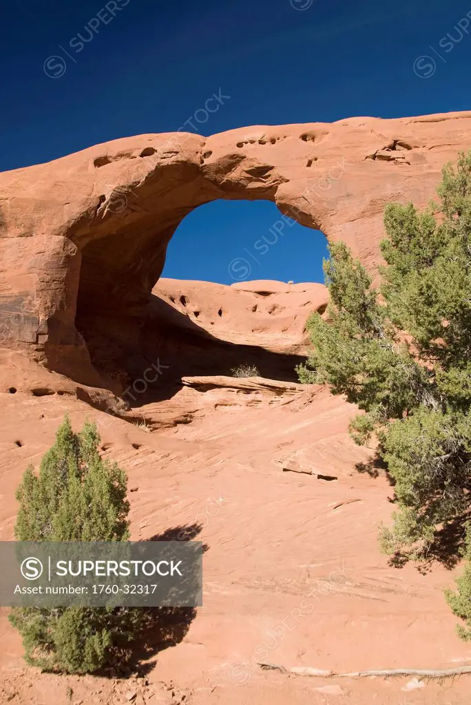 Arizona, Navajo Tribal Park, Monument Valley, Mystery Valley, Honeymoon Arch, Desert Foliage In Foreground.