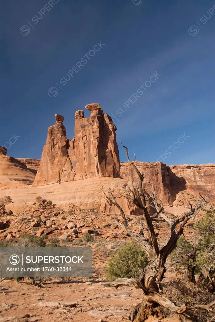 Utah, Arches National Park, Courthouse Towers, The Three Gossips Landmark, Foliage In Foreground.