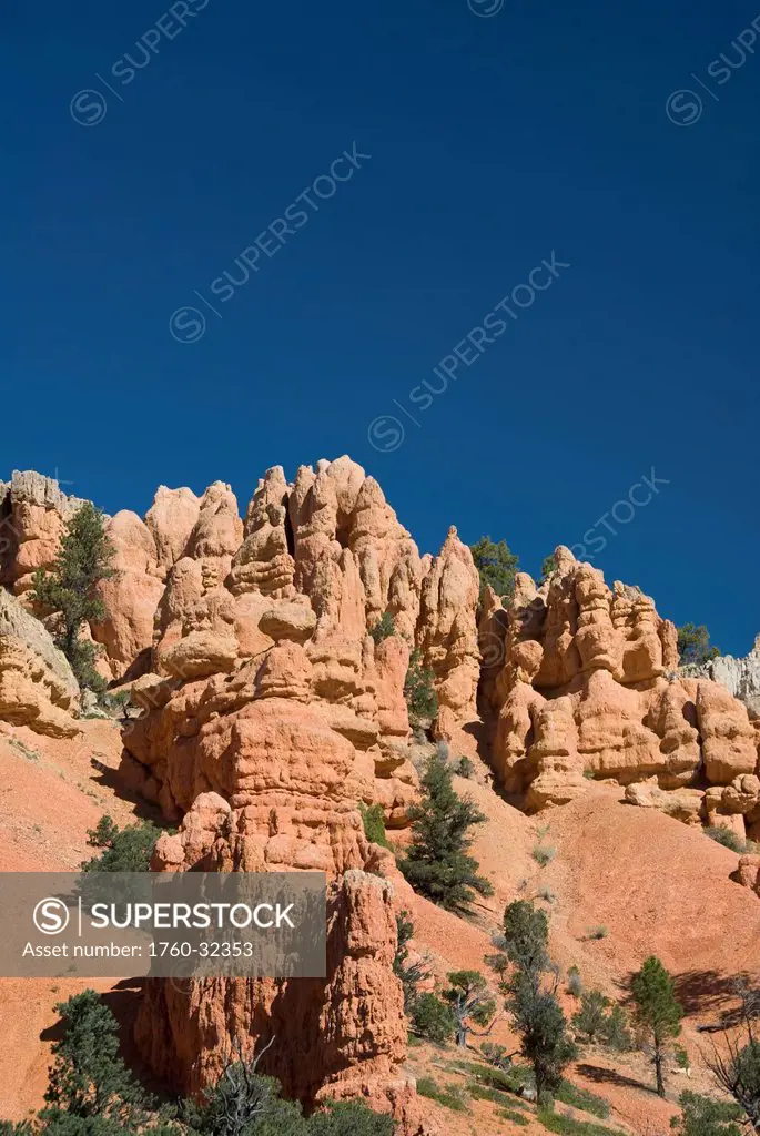 Utah, Dixie National Forest, Claron Limestone Formations In Red Canyon.