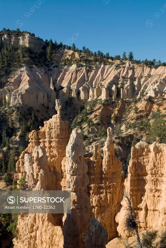 Utah, Bryce Canyon National Park, Rock Formations Make Up Fairyland Canyon.