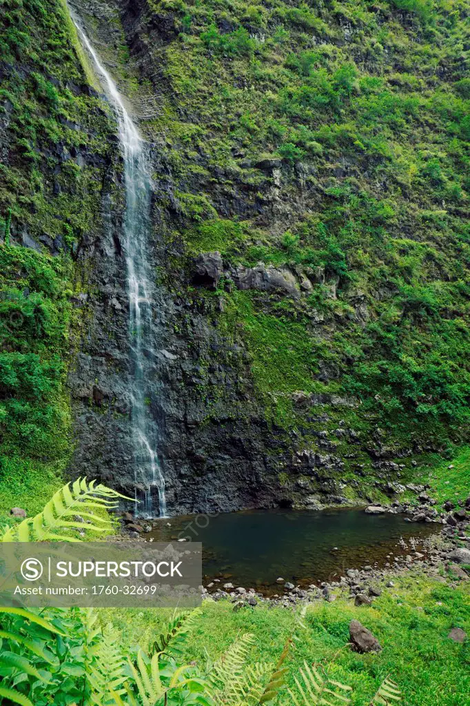 Hawaii, Kauai, Napali Coast, Lush Waterfall In Jungle.