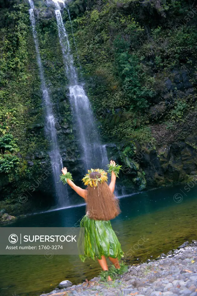 Vu from behind woman facing waterfall, hula w/ full set fern leis, lush C1476 greenery