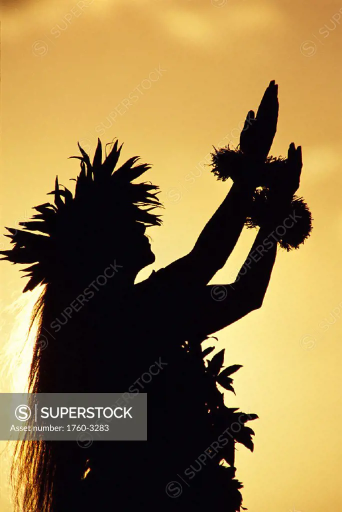 Closeup side view of woman kahiko hula, silhouetted in golden skies C1475