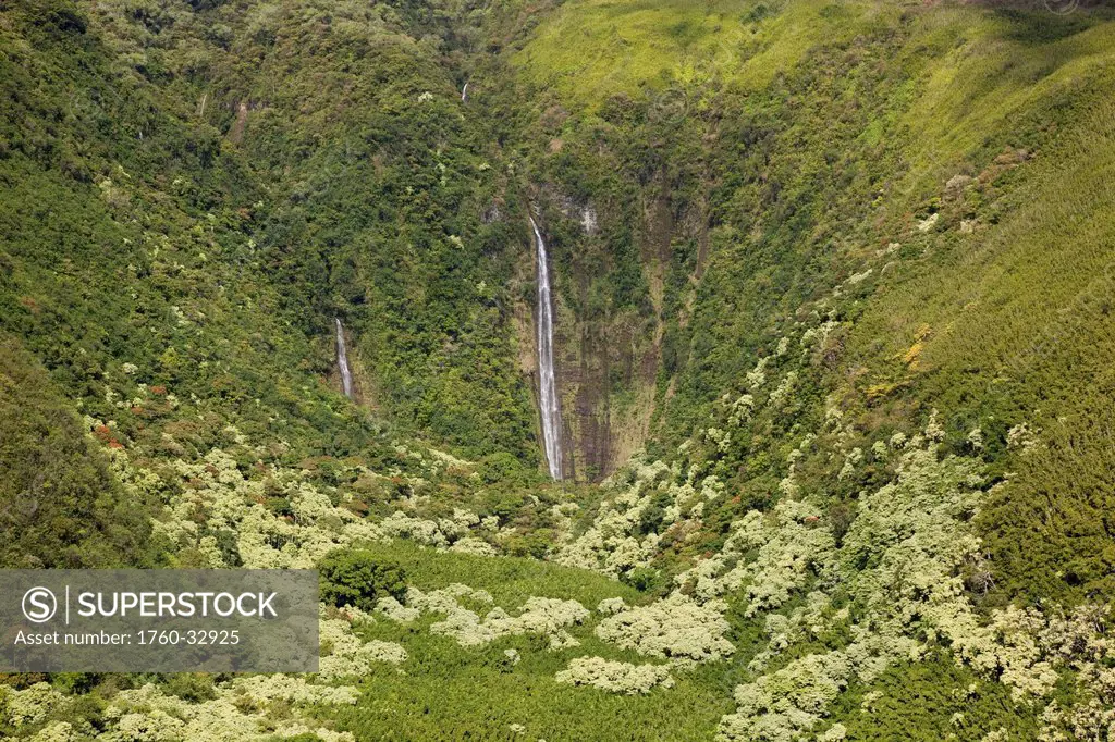 Hawaii, Maui, Waimoku Falls And Lush Greenery.
