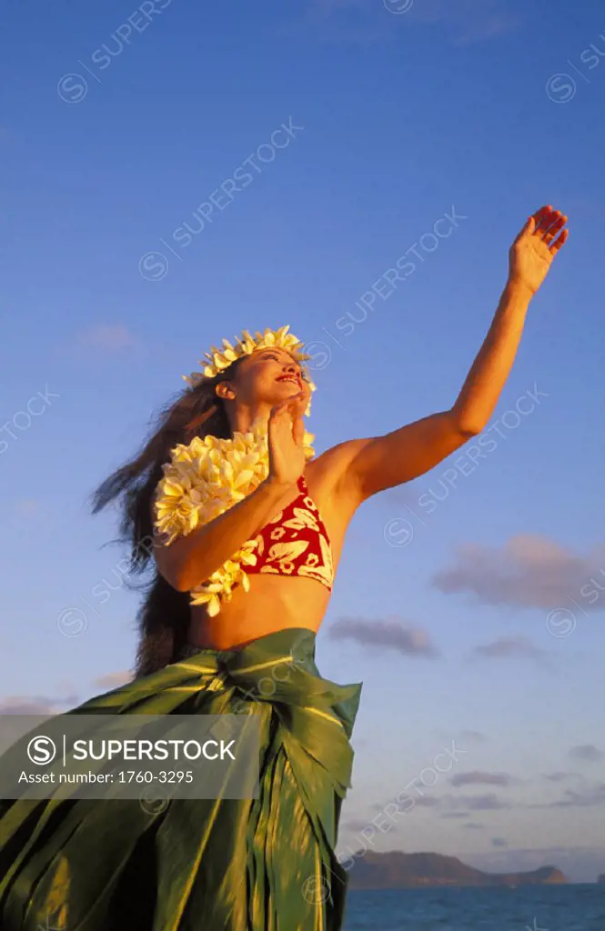 Close-up upward view of hula woman wearing ti-leaf skirt, plumeria haku and lei blue sky ocean