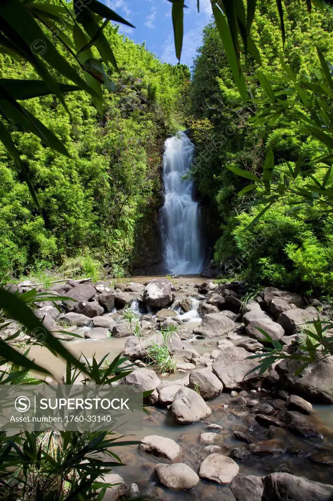 Hawaii, Maui, Hana, A Waterfall Surrounded By Lush Bamboo Plants.