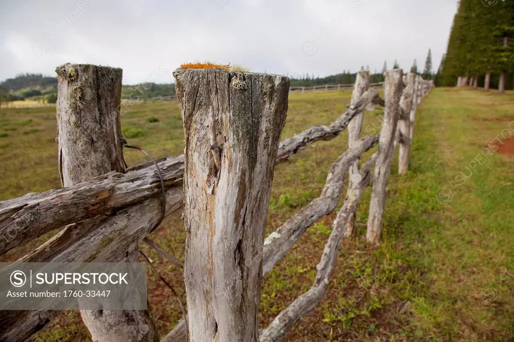 Hawaii, Lanai, A Wooden Fence On A Green Pasture.