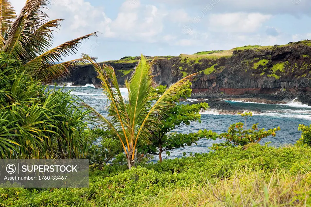 Hawaii, Maui, Kipahulu, The lush coastline of Kipahulu.