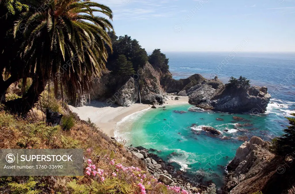 California, Big Sur, Julia Pfeiffer Burns State Park, View of McWay Falls, Lush foliage in foreground.