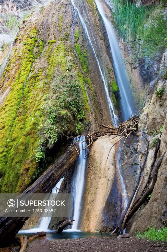 California, Big Sur, Limekiln State Park, Waterfalls and lush foliage.