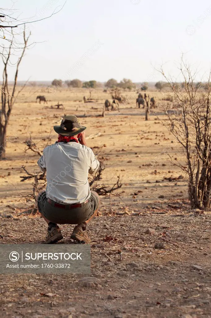 Africa, Zimbabwe, Hwange National Park, on safari, man viewing elephants at watering hole