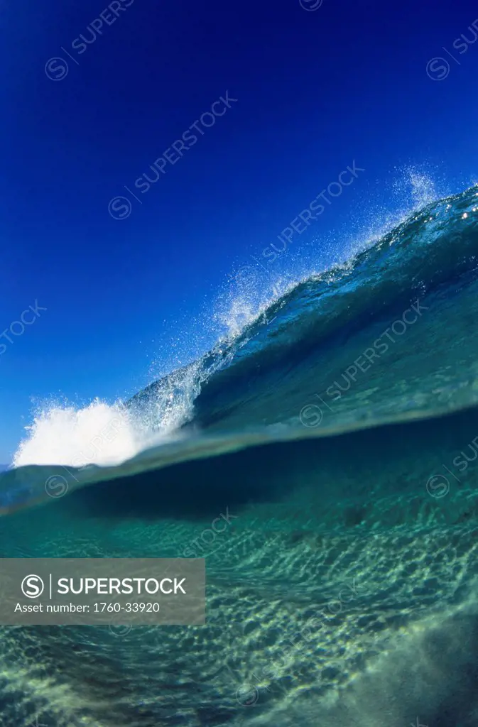 A large wave splashing and forming into a curl