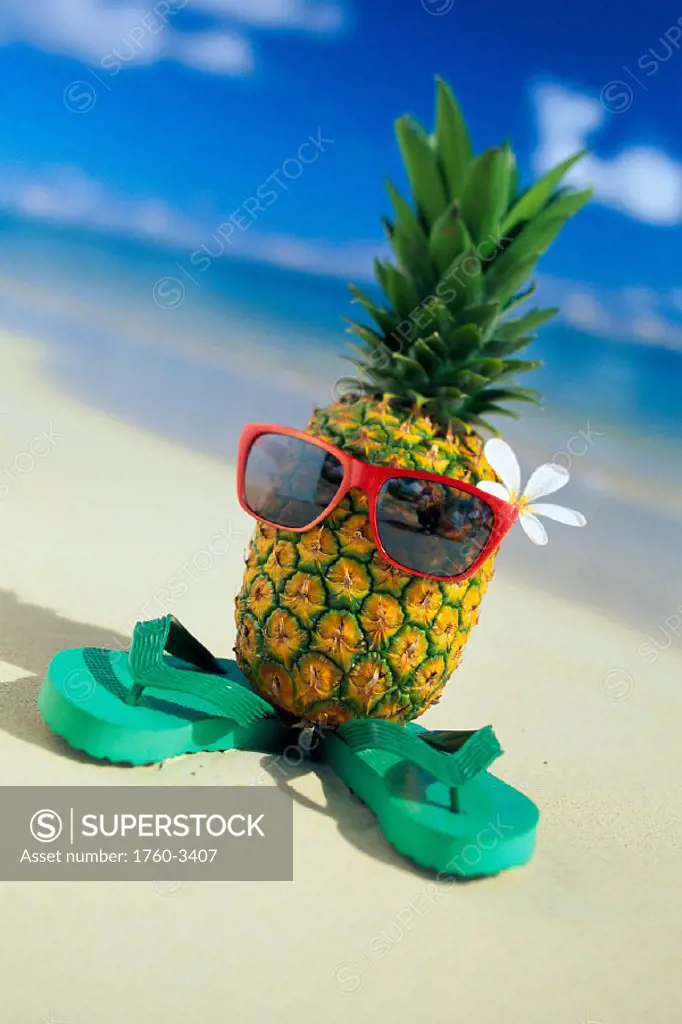 Humorous pineapple dressed up with sunglasses, flower and pair of slippers C1478