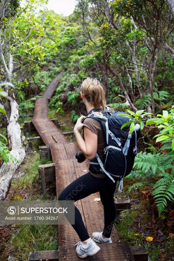 Female hiker on Alakai Swamp boardwalk; Kauai, Hawaii, United States of America