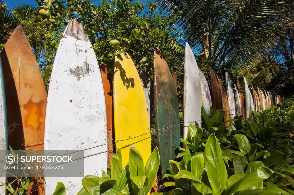 Fence made up of surfboards; Maui, Hawaii, United States of America