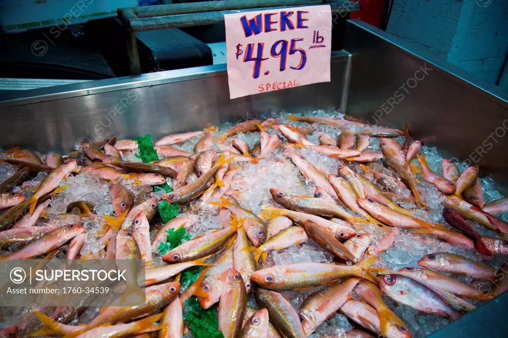 Fresh fish on ice for sale; Honolulu, Oahu, Hawaii, United States of America