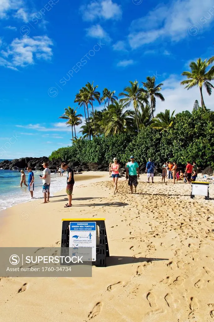 Laniakea Beach (Turtle Beach) on the North Shore; Oahu, Hawaii, United States of America