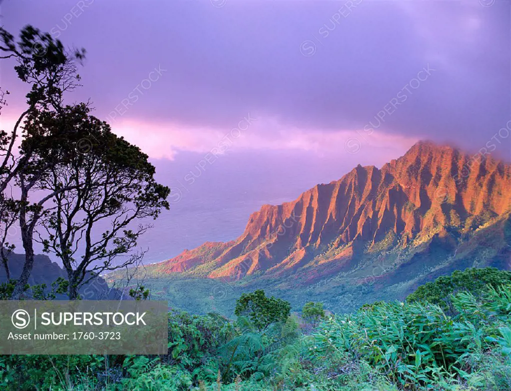 Hawaii, Kauai, NaPali Coast Kalalau Valley Kaaalahina Ridge, purple sky B1535
