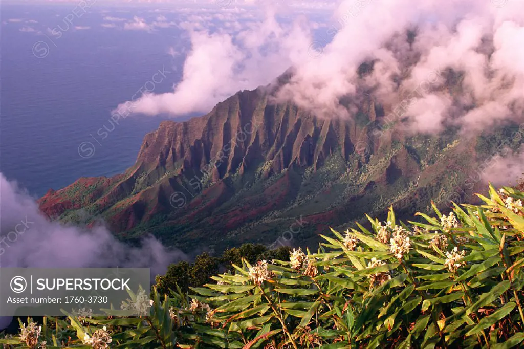 North Shore Kauai, Kalalau Valley with yellow ginger in foreground, clouds C1543
