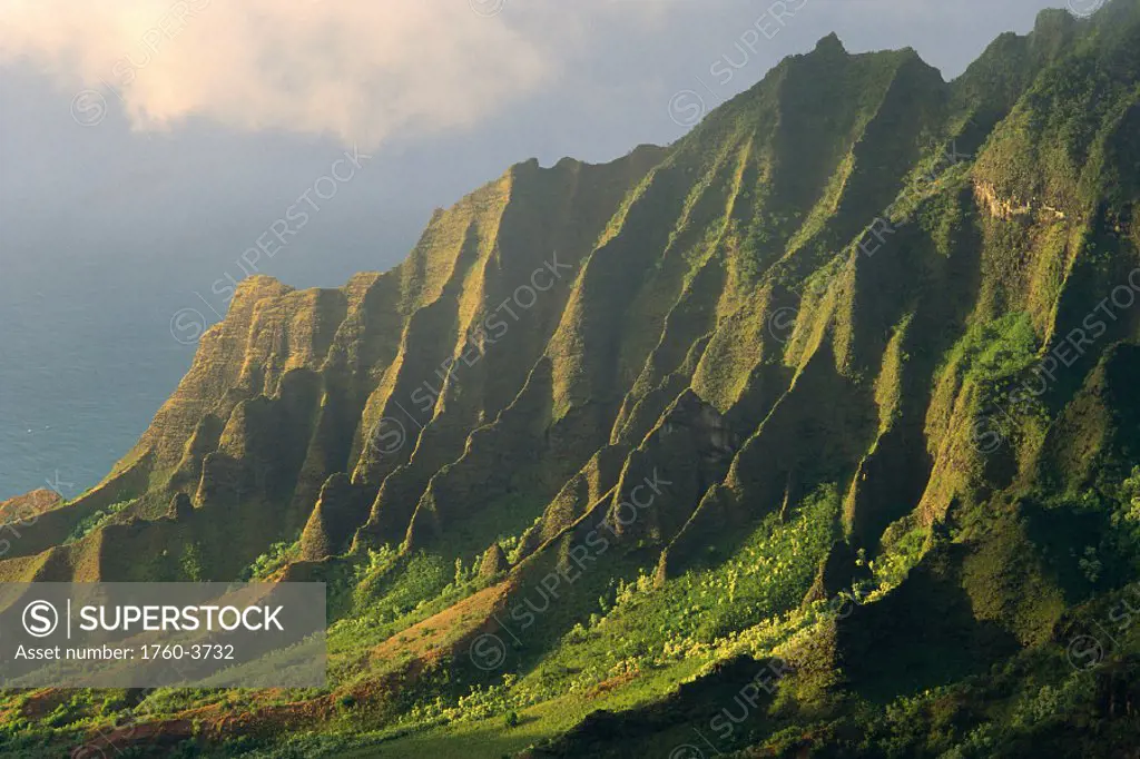Hawaii, Kauai, NaPali Coast, Kalalau Valley, detail of green cliff side C1545
