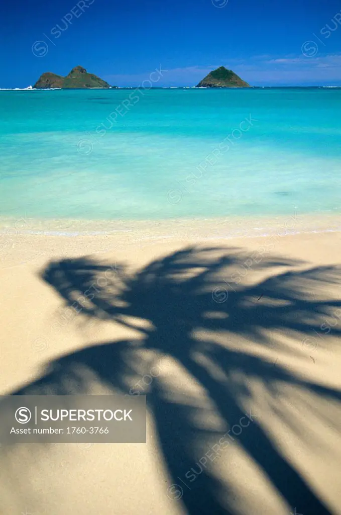 Hawaii, Oahu, Lanikai Beach, turquoise ocean, Mokulua Isles, shadow of palm B1489