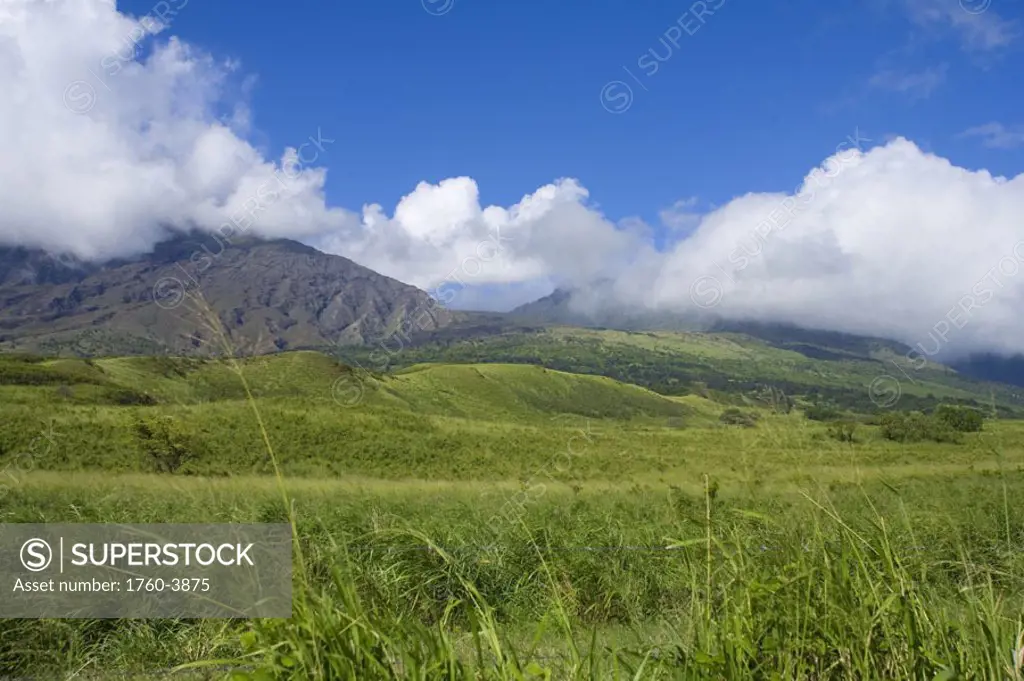Hawaii, Maui, Haleakala, Kaupo Gap, green and calm on a warm day.