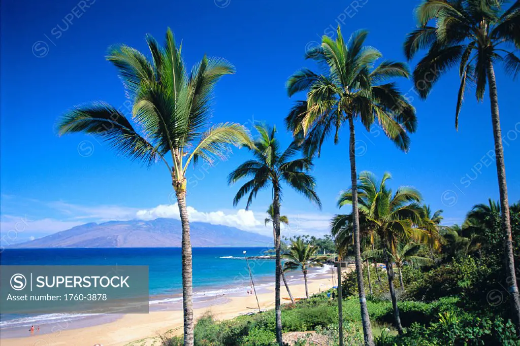 Hawaii, Maui, Wailea Beach, tropical beach with palm trees, turquoise ocean C1593