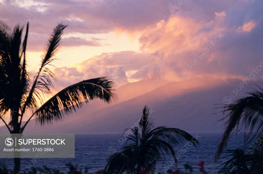 Hawaii, Maui, Wailea sunset over West Maui mountains, ocean palms pink clouds A46B