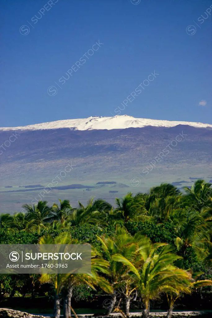 Hawaii, BigIsle, Snowcapped Mauna Kea, palm trees from Kohala Coast B1548