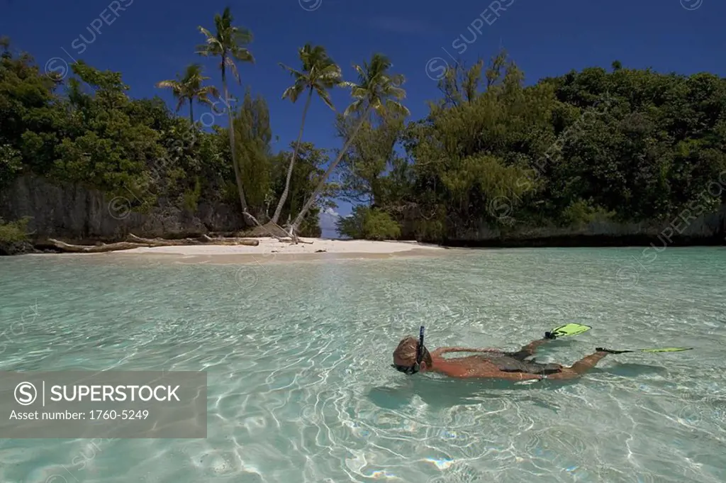 Micronesia, Palau, 3 Palm Beach, Man snorkeling with tropical in crystal clear waters in shallows of a tropical island