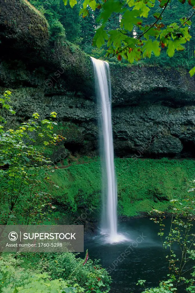 South Falls, Silver Falls Nat´l Park, Oregon B1653