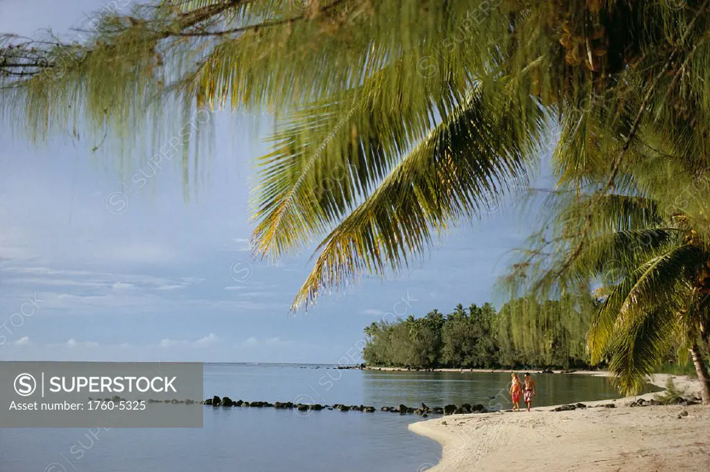 Cook Isles, Aitutaki Atoll, Couple along beachfront, palm in foreground    A67H