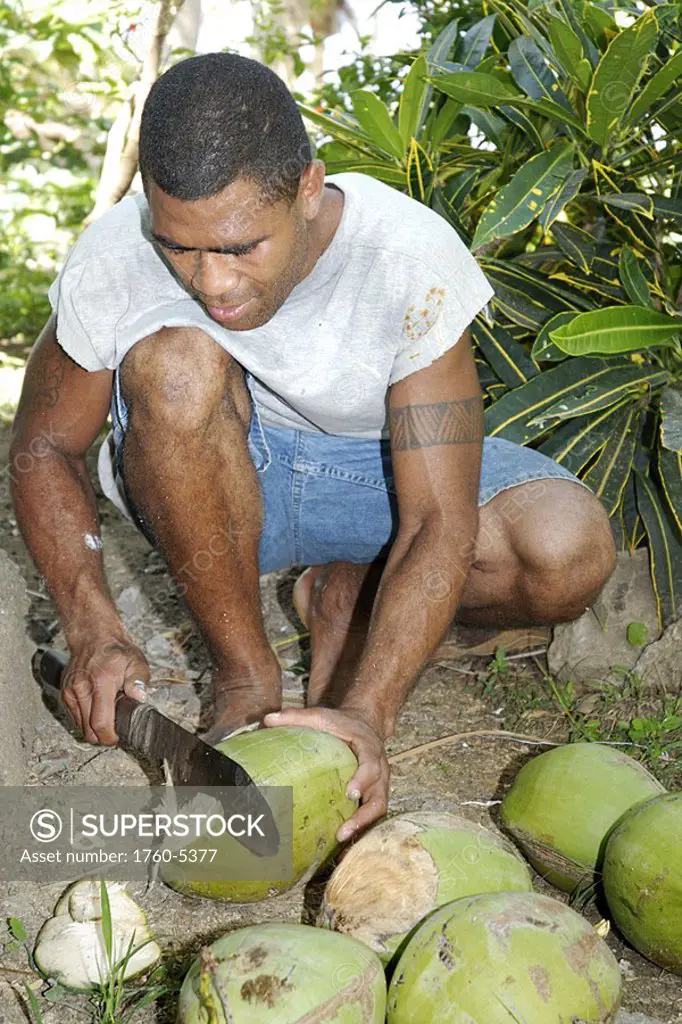 Fiji, Viti Levu, Coral Coast, Fijian man cutting open coconuts with a macheti