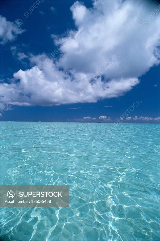 French Polynesia, Tahiti, crystal clear waters of Bora Bora B1493