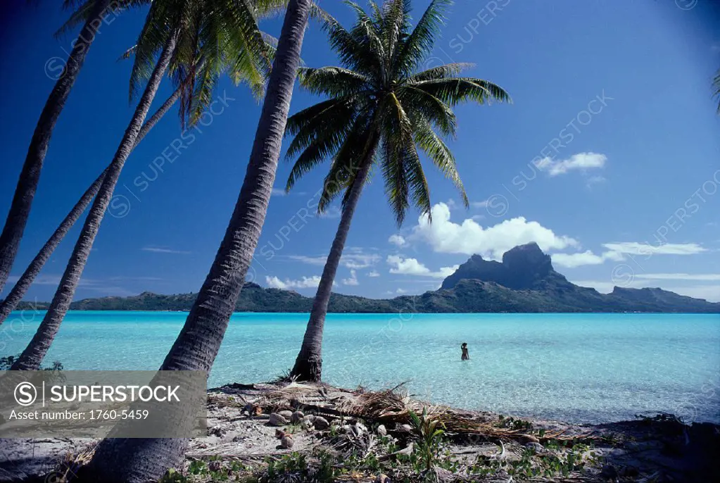 French Polynesia, Tahitian coast scene, lovely woman in water B1693