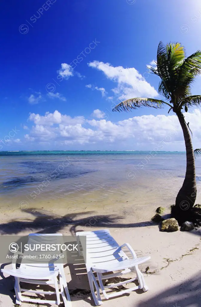 Mexico, Yucatan Peninsula, Costa Maya, Lounging beach chairs on quiet beach with palm tree.