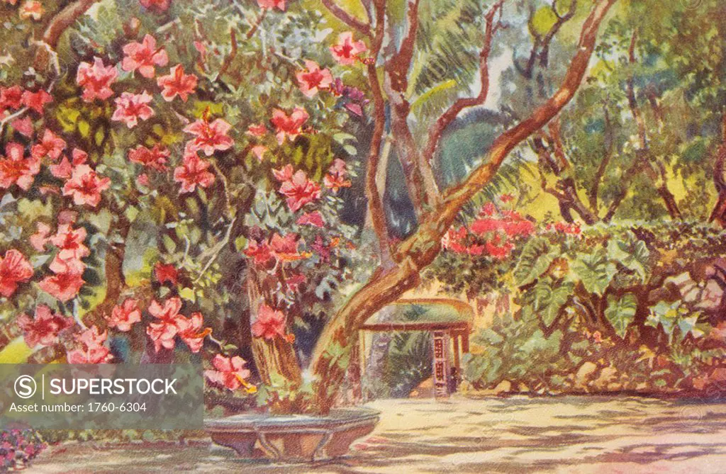 c 1931, art by A C  Wyatt, Patio of the Lester Mc, tree with pretty pink blossoms 