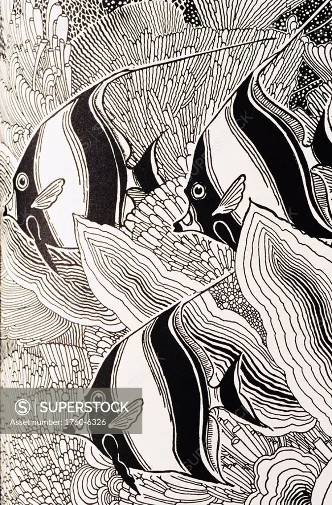 c 1930, Don Blanding, illustraion of angelfish 