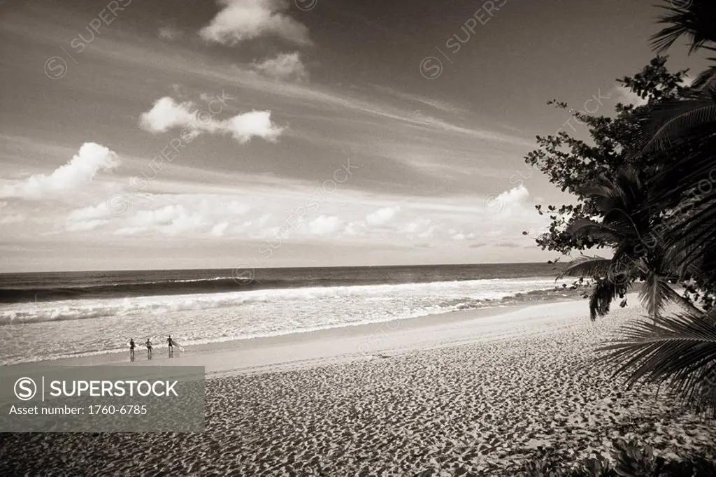 Hawaii, Oahu, North Shore, Sunset Beach, Surfers in distance on shoreline Sepia photograph 
