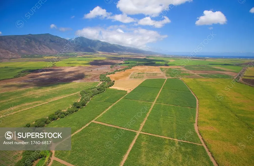 Hawaii, Maui, Aerial of inland fields 
