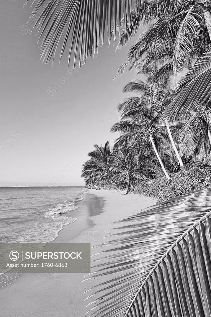 Hawaii, Molokai, Remote south shore beach Black and white photograph 