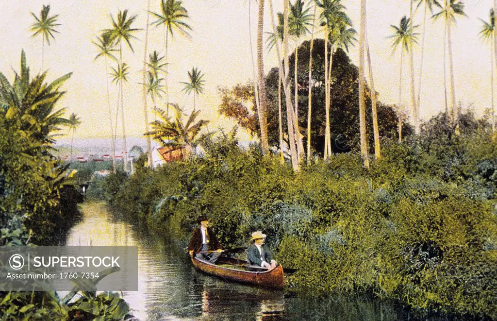 c 1905 Hawaii Postcard, Big Island, Hilo, Waiolama Stream