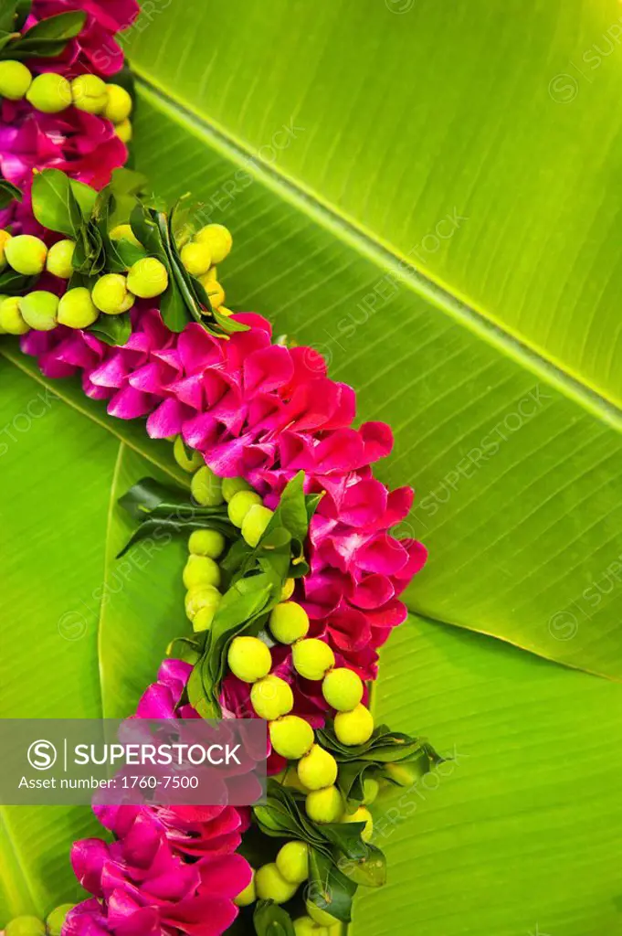 Hawaii, Oahu, Orchid lei on banana leaves